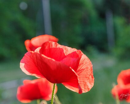 [2021-06-07] sieben Seen Runde via Grünau [2021-06-07] sieben Seen Runde via Grünau am 07.06.2021 20:09:57 Olympiaregattastrecke Grünau Berlin Deutschland