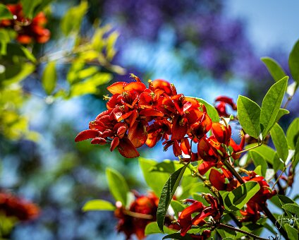 [2022-05-29] Dalaman Türkei Frühjahr 2022 [2022-05-29] Dalaman Türkei Frühjahr 2022 am 01.06.2022 10:25:20 Villa YaDe Dalaman Türkei