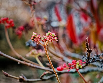 [2025-11-08] Herbst im Tiergarten_2025-11-08 16-32-23_hh_voll