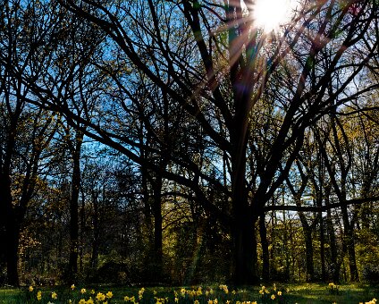 [2026-04-11] Osterglocken im Tiergarten_260411_1600570016_hh_voll_1 - Kopie