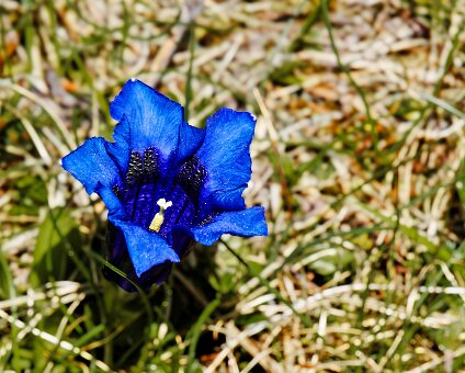 DSCF5678_hh_voll