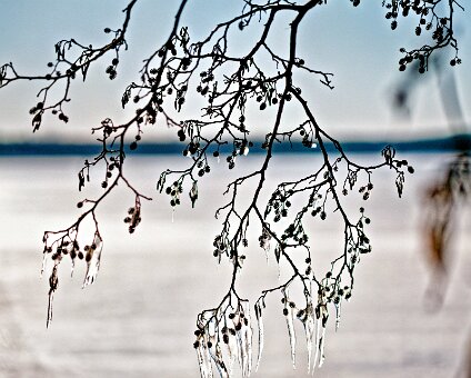 [2026-01-11] Eis auf dem Müggelsee_260111_1146170007_hh_voll