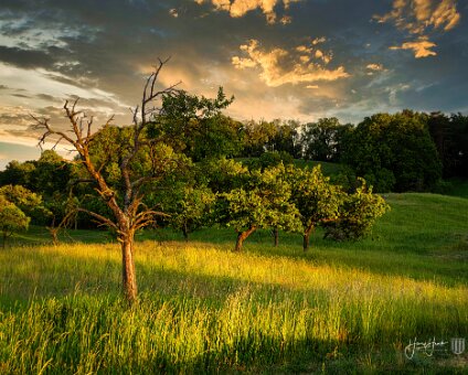 [2020-05-31] Bukow Märkische Schweiz [2020-05-31] Bukow Märkische Schweiz am 31.05.2020 20:37:18 Buckow (Märkische Schweiz), Schule Buckow (Märkische Schweiz) Deutschland