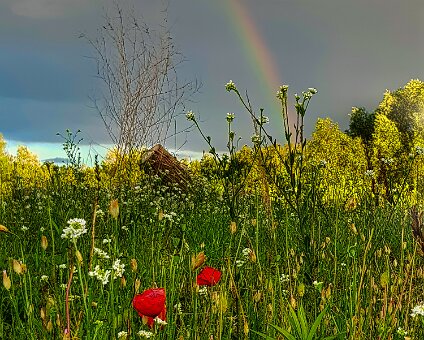 [2020-06-29] Friedensstadt Trebbin [2020-06-29] Friedensstadt Trebbin am 29.06.2020 20:25:34 Blankensee Trebbin Deutschland